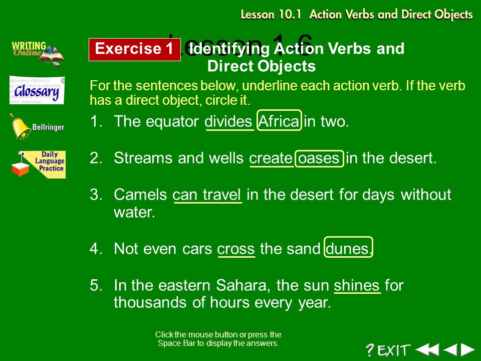 What Is the Main Verb in a Sentence? Identifying the Action