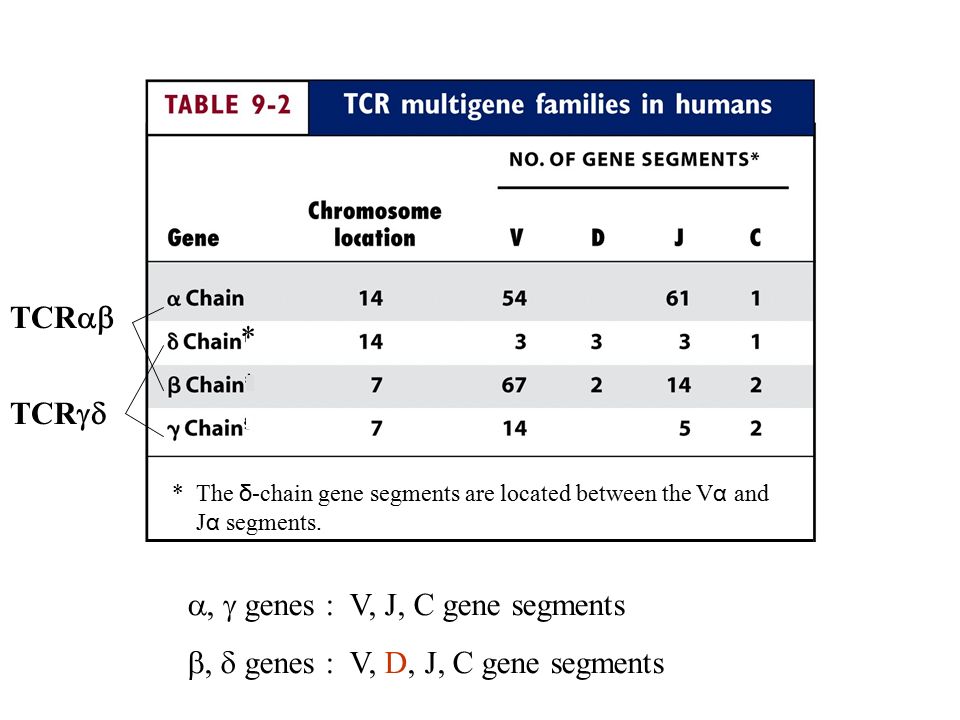 Chapter 9 T Cell Receptor Ppt Video Online Download