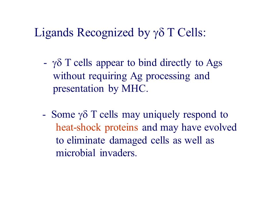 Ligands Recognized by gd T Cells: