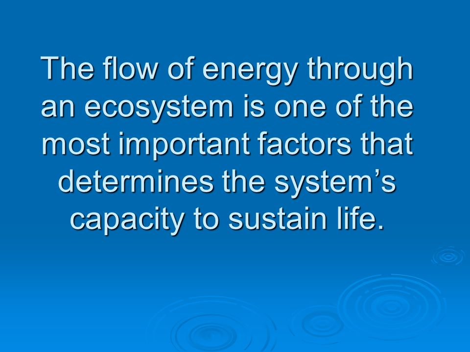 The flow of energy through an ecosystem is one of the most important factors that determines the system’s capacity to sustain life.