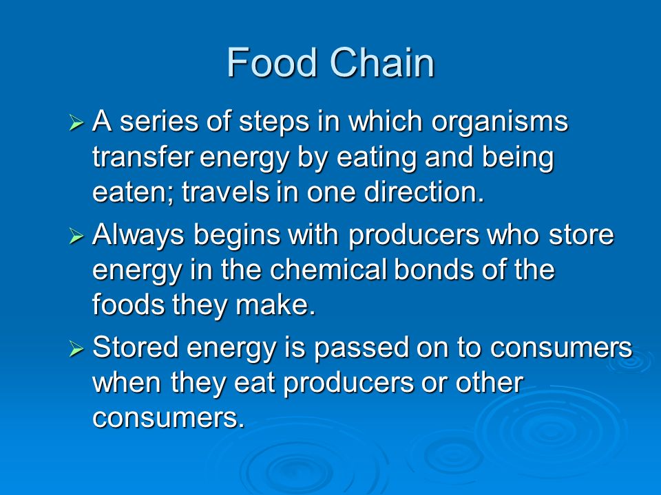 Food Chain A series of steps in which organisms transfer energy by eating and being eaten; travels in one direction.