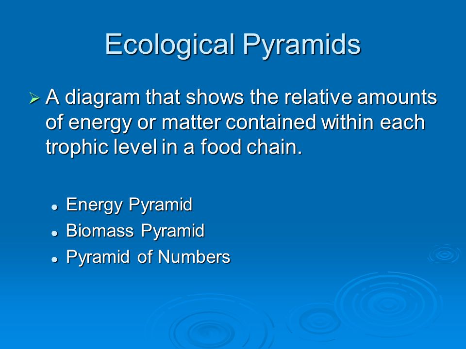 Ecological Pyramids A diagram that shows the relative amounts of energy or matter contained within each trophic level in a food chain.