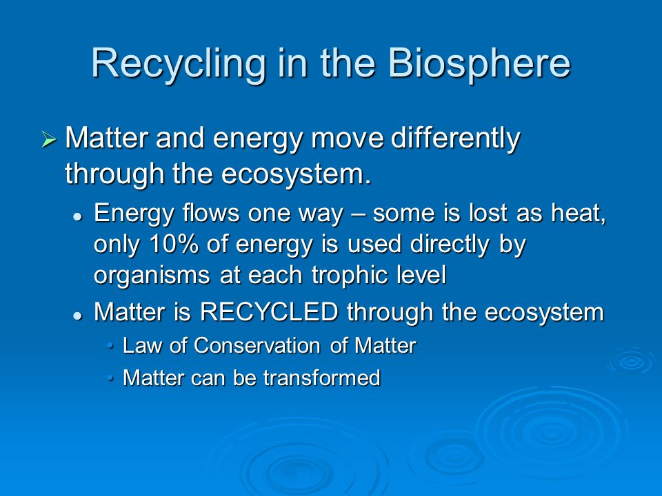Recycling in the Biosphere