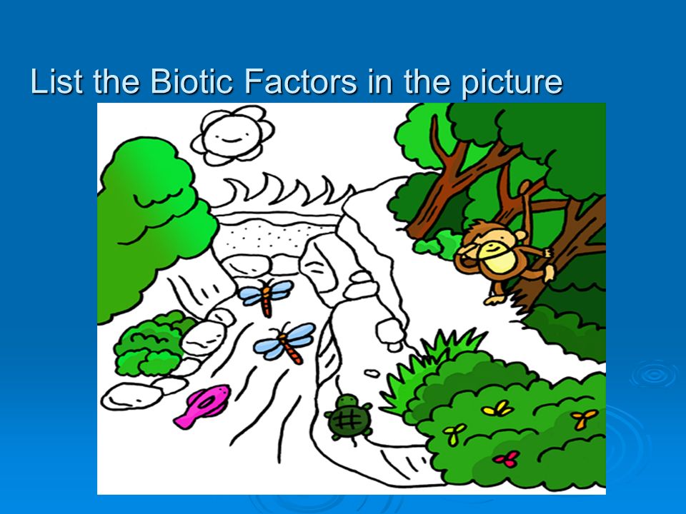 List the Biotic Factors in the picture
