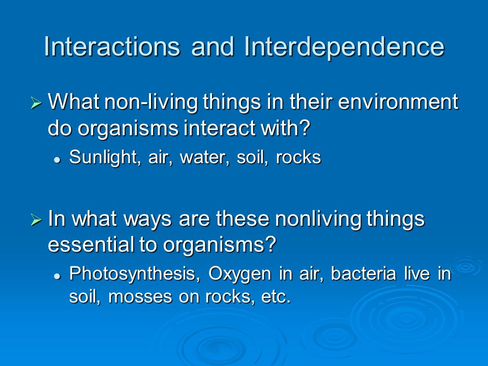 Interactions and Interdependence