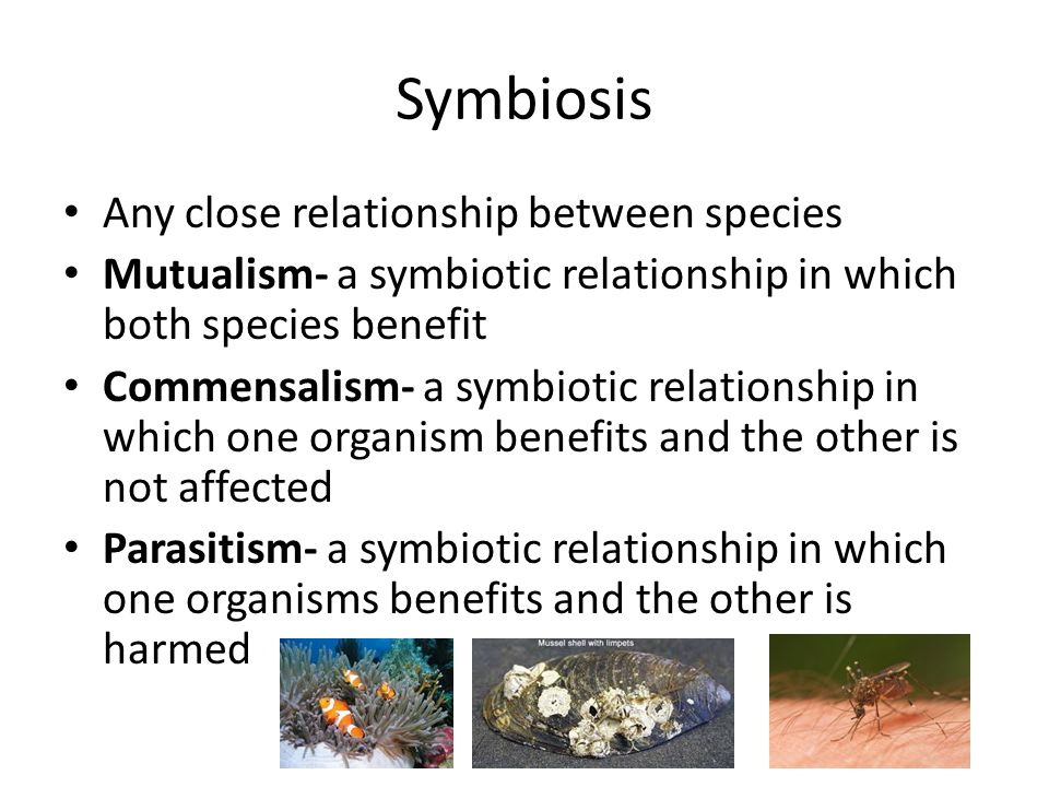 Symbiosis Any close relationship between species