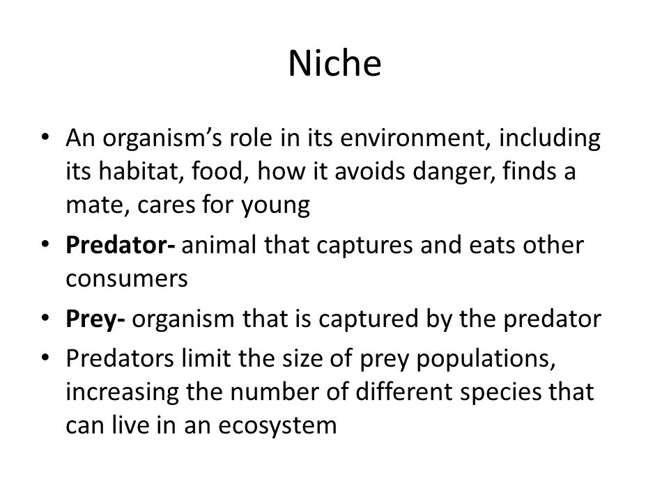 Niche An organism’s role in its environment, including its habitat, food, how it avoids danger, finds a mate, cares for young.