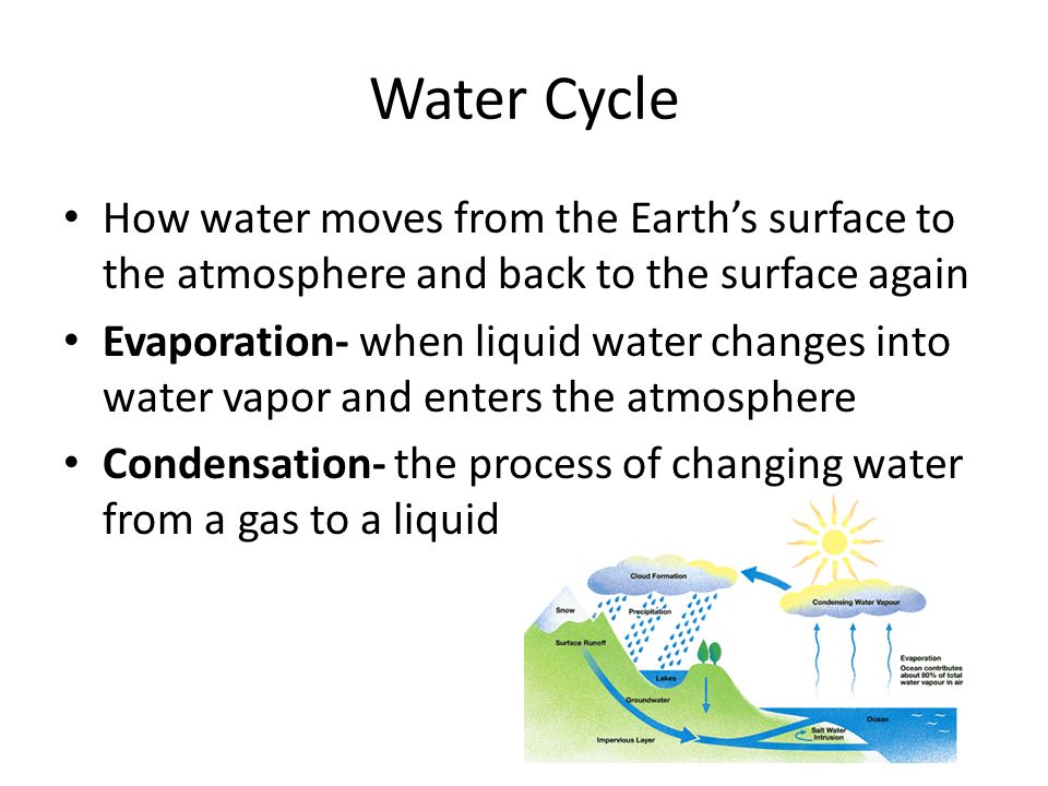 Water Cycle How water moves from the Earth’s surface to the atmosphere and back to the surface again.