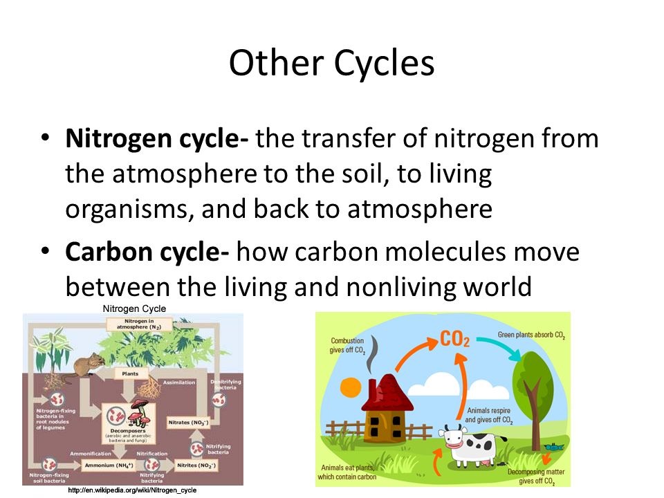 Other Cycles Nitrogen cycle- the transfer of nitrogen from the atmosphere to the soil, to living organisms, and back to atmosphere.