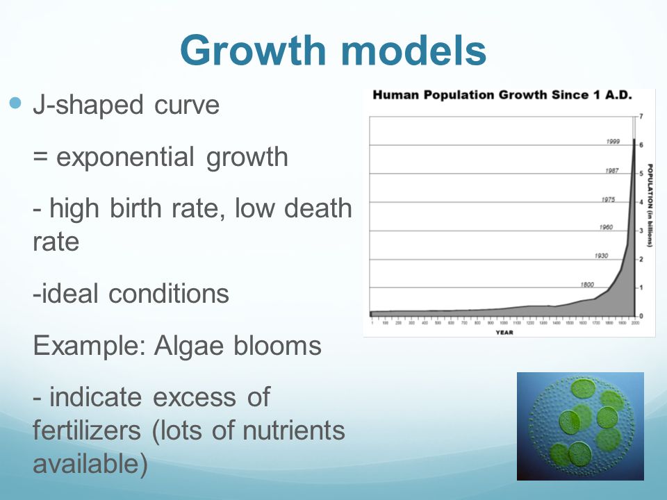 Growth models J-shaped curve = exponential growth
