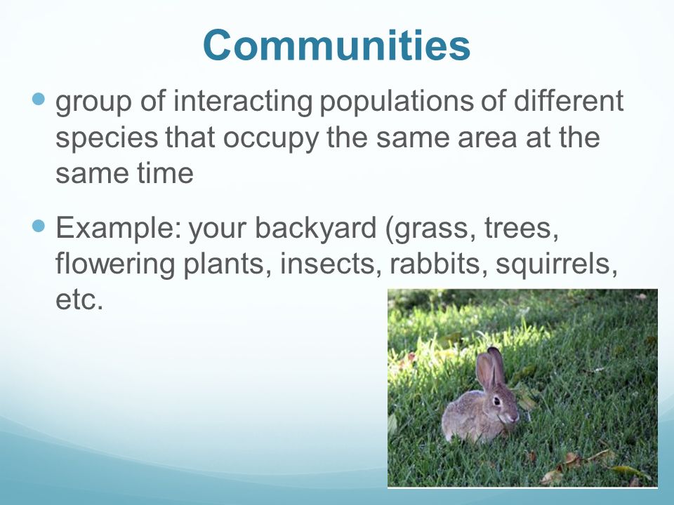 Communities group of interacting populations of different species that occupy the same area at the same time.