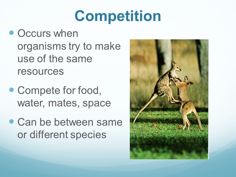 Competition Occurs when organisms try to make use of the same resources. Compete for food, water, mates, space.