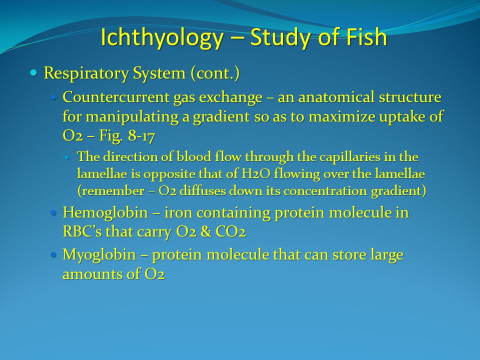 Ichthyology – Study of Fish