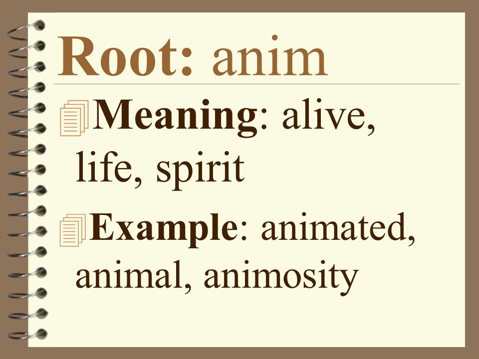 Root Words Set #1. - ppt video online download