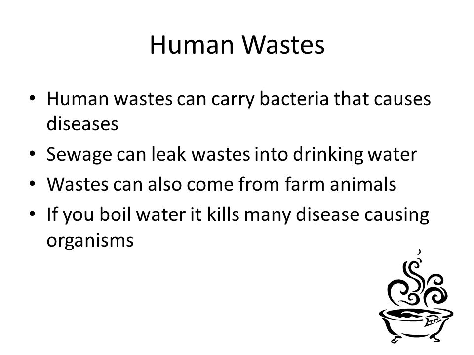 Human Wastes Human wastes can carry bacteria that causes diseases