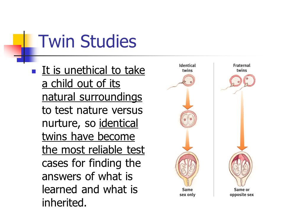twin studies nature vs nurture