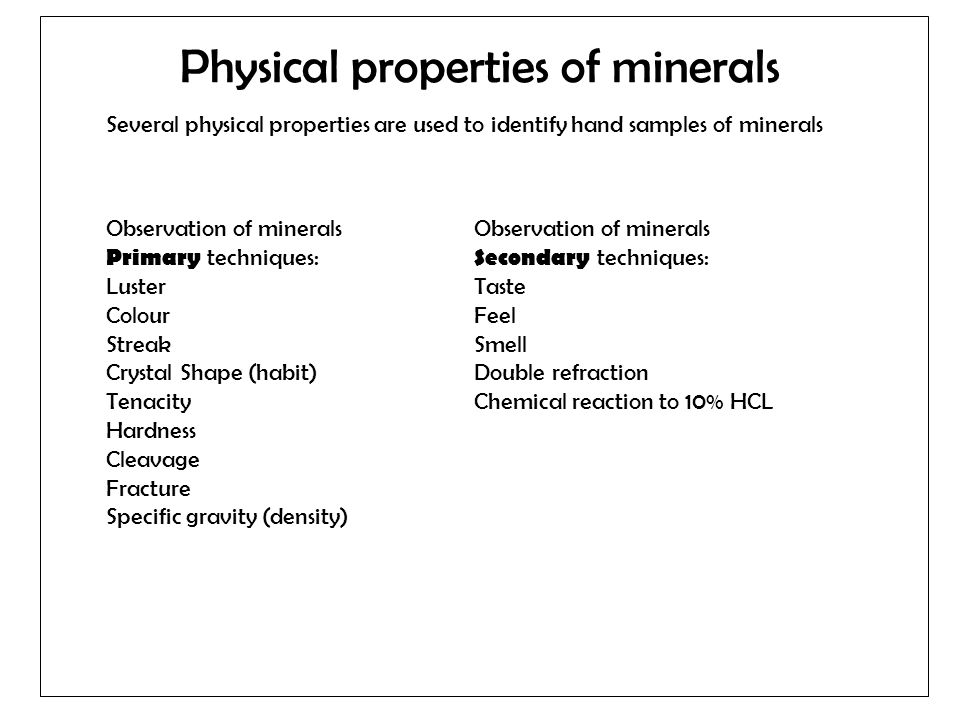 the bacteria their origin structure function and