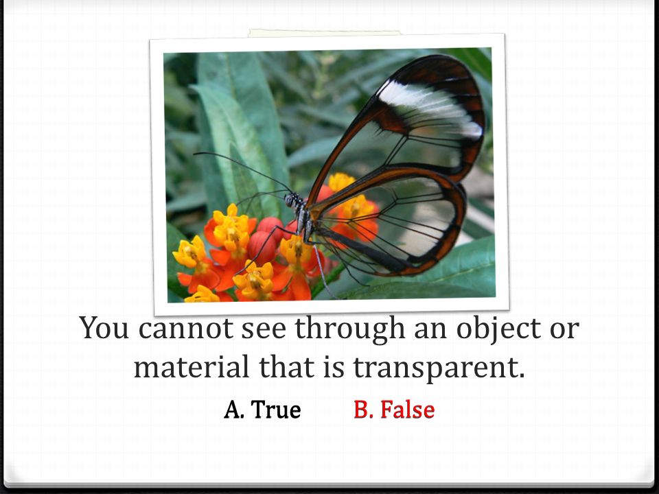 You cannot see through an object or material that is transparent.