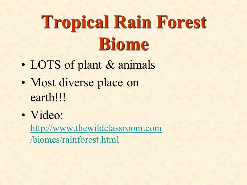 Tropical Rain Forest Biome