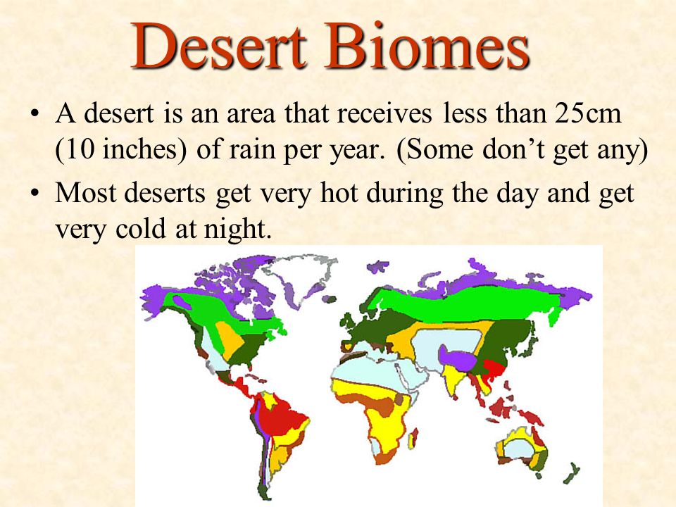 Desert Biomes A desert is an area that receives less than 25cm (10 inches) of rain per year. (Some don’t get any)