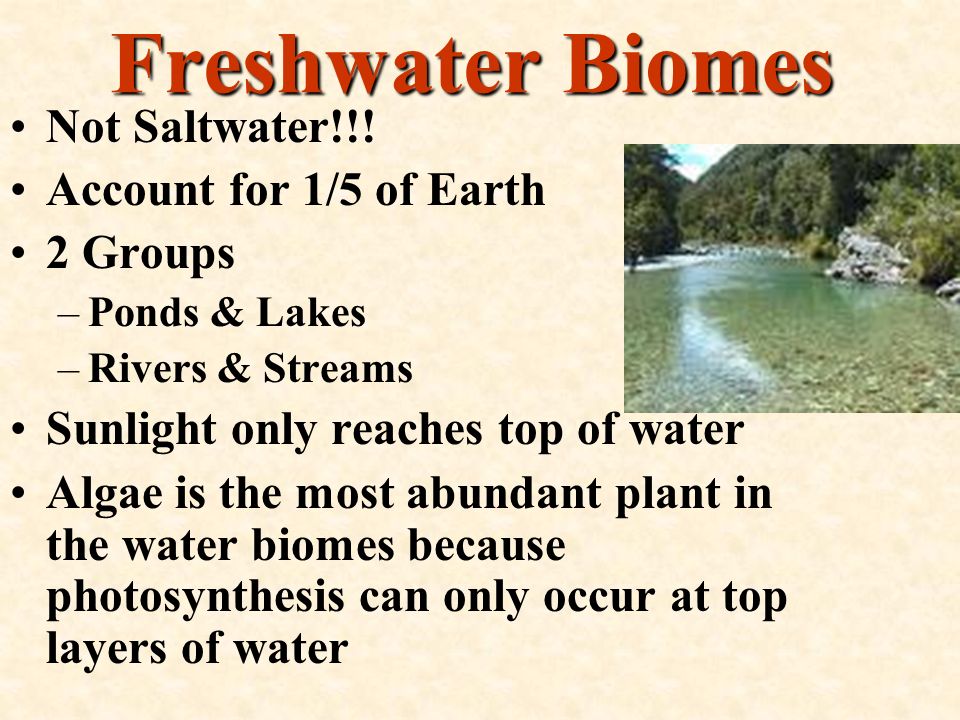 Freshwater Biomes Not Saltwater!!! Account for 1/5 of Earth 2 Groups