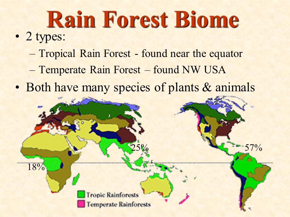 Rain Forest Biome 2 types: Both have many species of plants & animals
