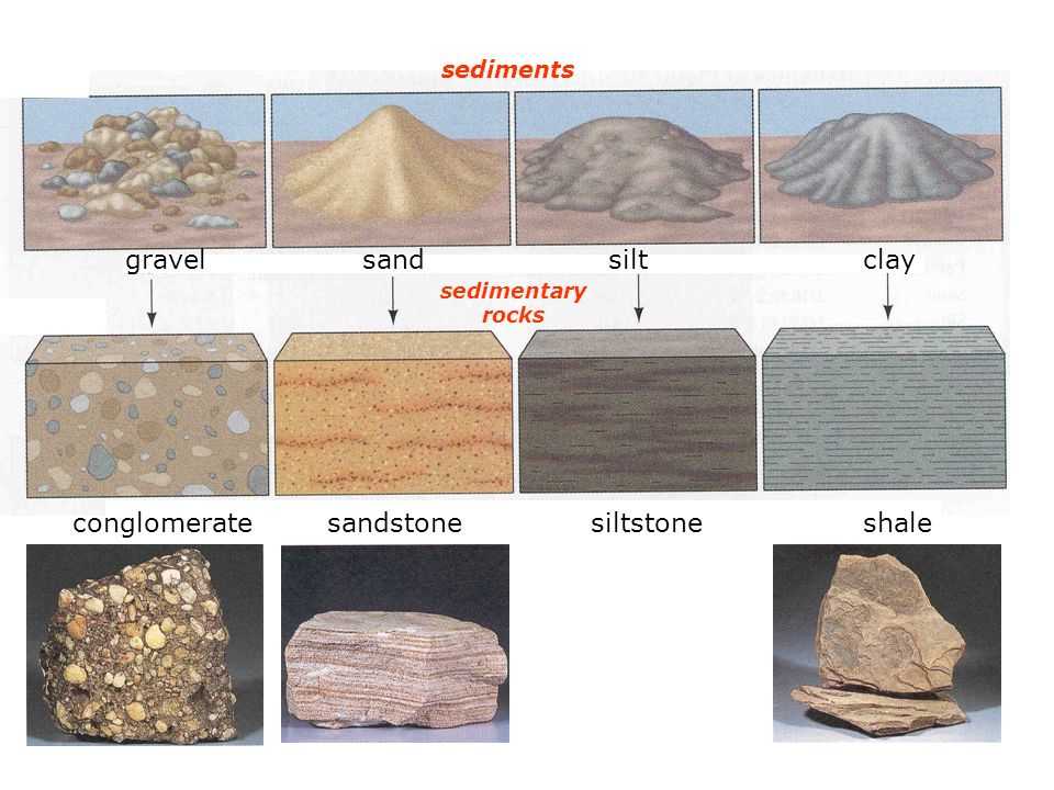 К породам осадочного происхождения относятся. Песчаник осадочная Горная порода. Песчаник минерал или Горная порода. Песчанникминерал или Горная порода. Конгломерат осадочная Горная порода.