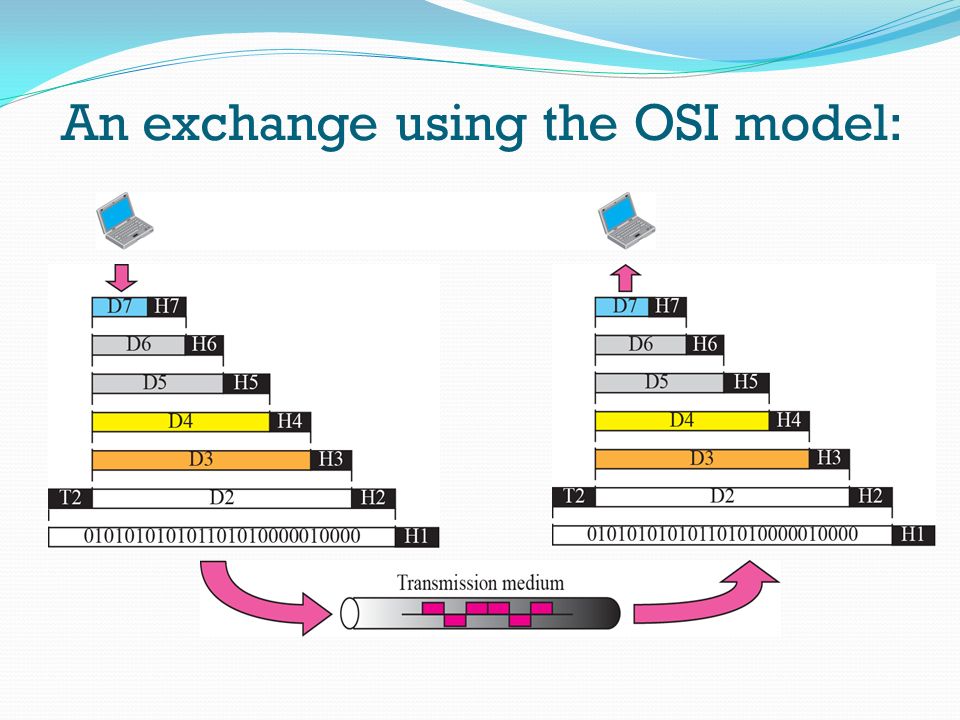 An exchange using the OSI model: