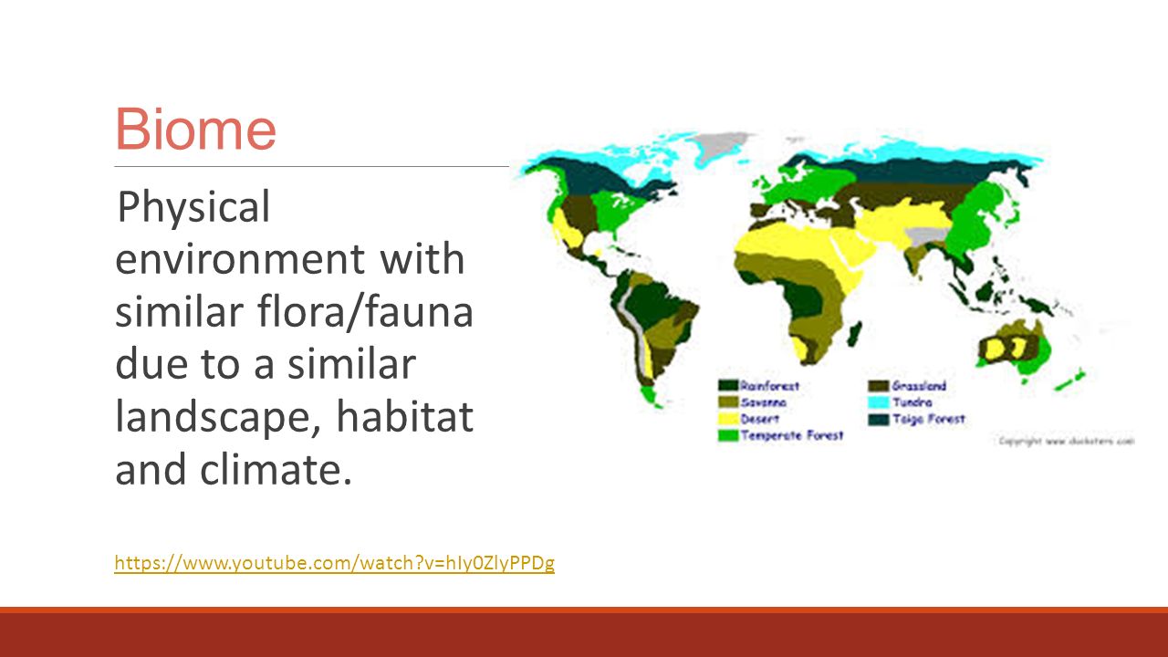 Biome Physical environment with similar flora/fauna due to a similar landscape, habitat and climate.