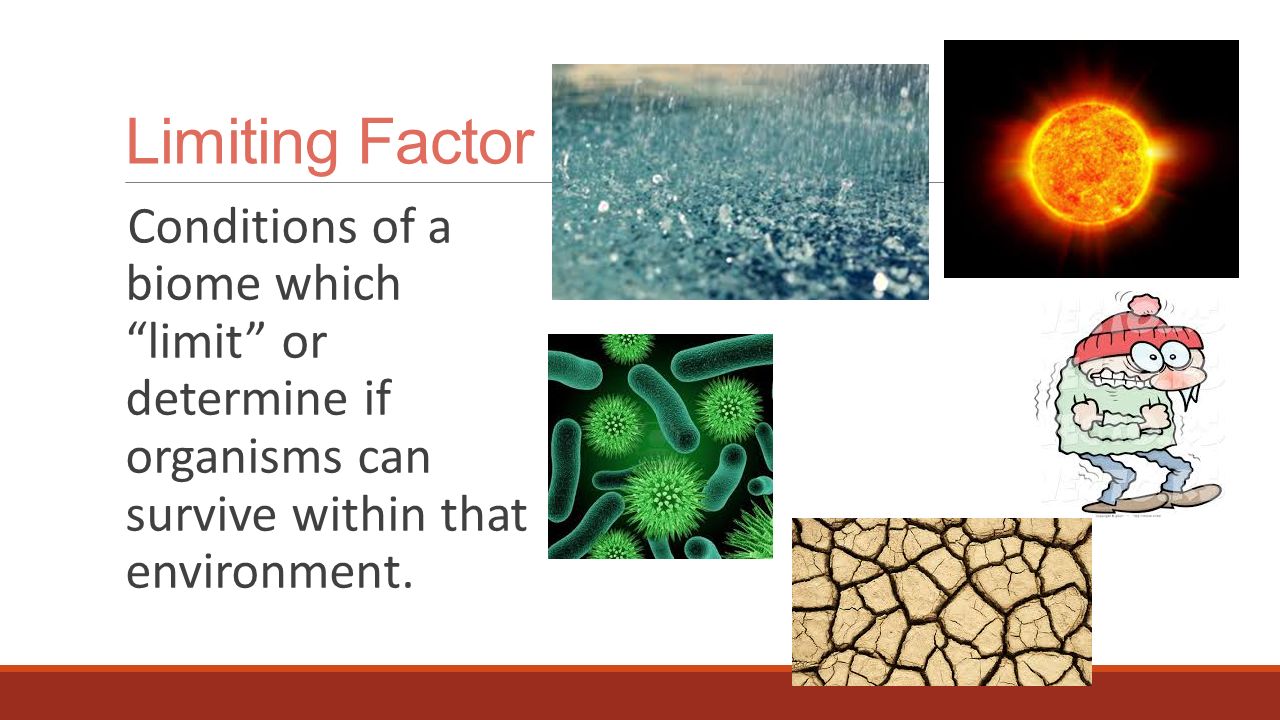 Limiting Factor Conditions of a biome which limit or determine if organisms can survive within that environment.