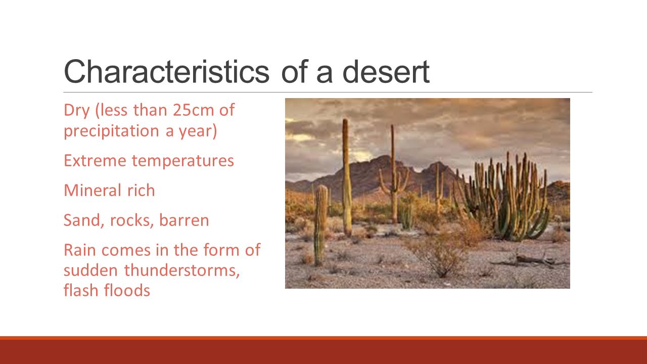 Characteristics of a desert
