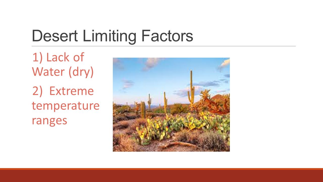 Desert Limiting Factors