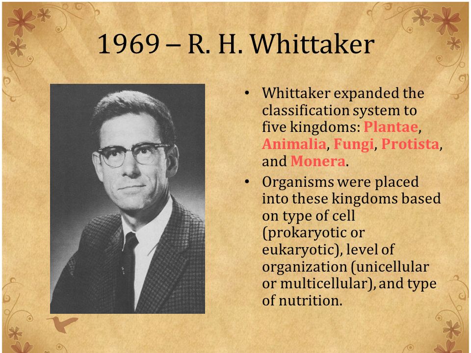 rh whittaker