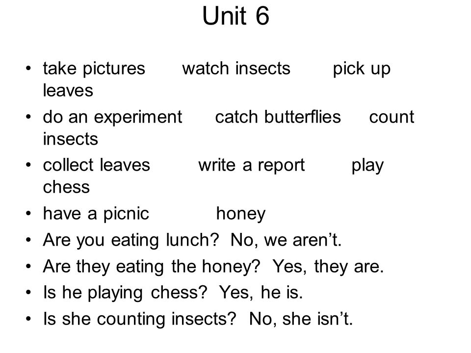Unit 6 take pictures watch insects pick up leaves