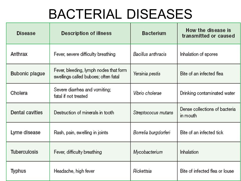 Bacteria cause disease