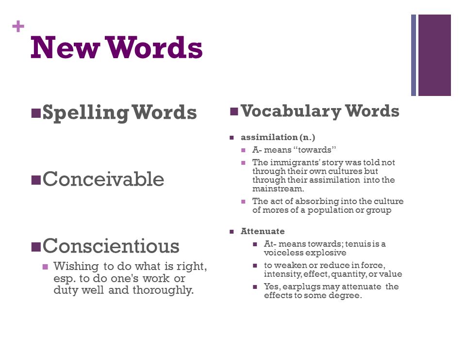 New Words Spelling Words Conceivable Conscientious Vocabulary Words
