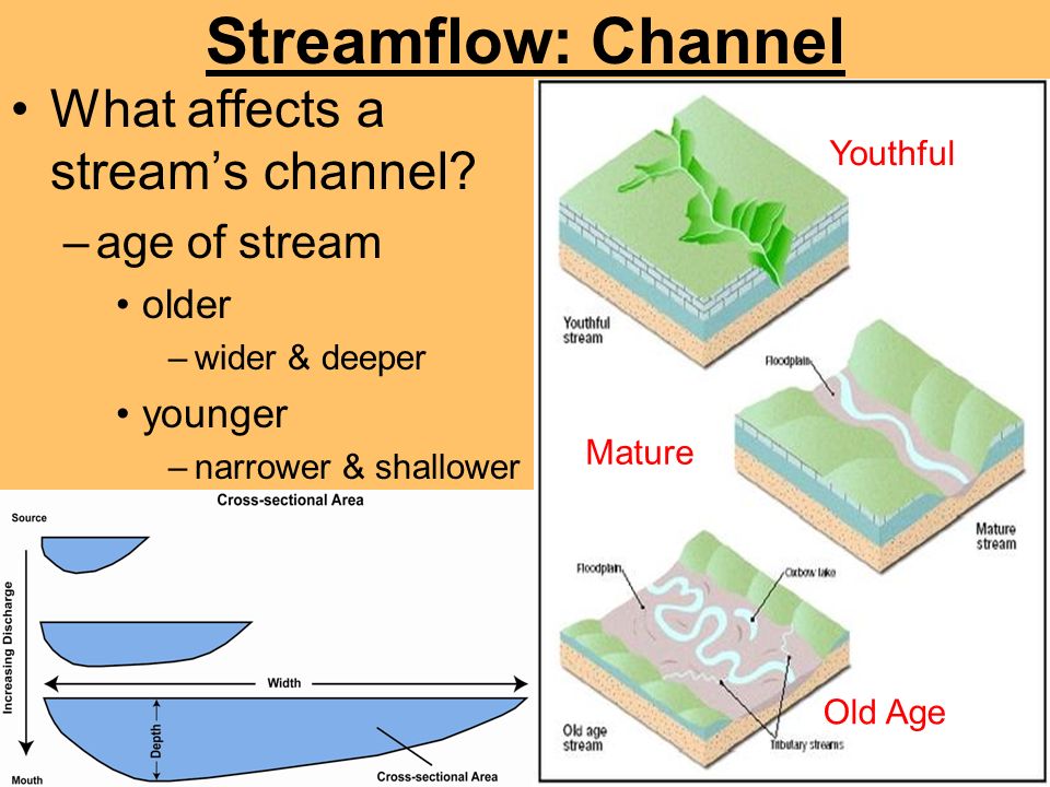Streamflow: Channel What affects a stream’s channel age of stream