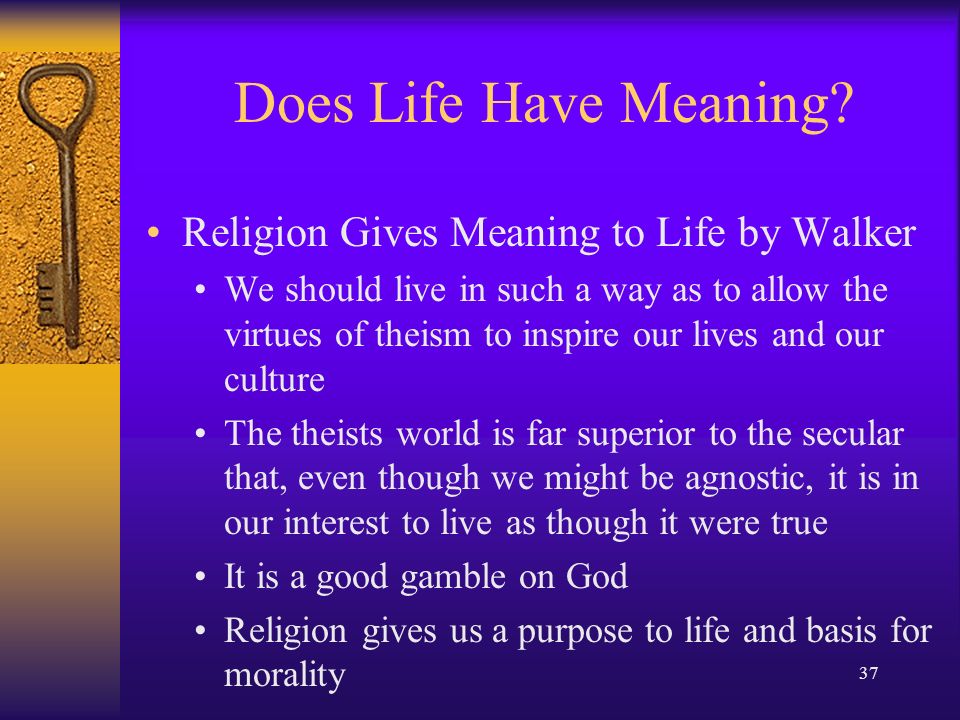 Chapter 9 Does Life Have Meaning Ppt Video Online Download