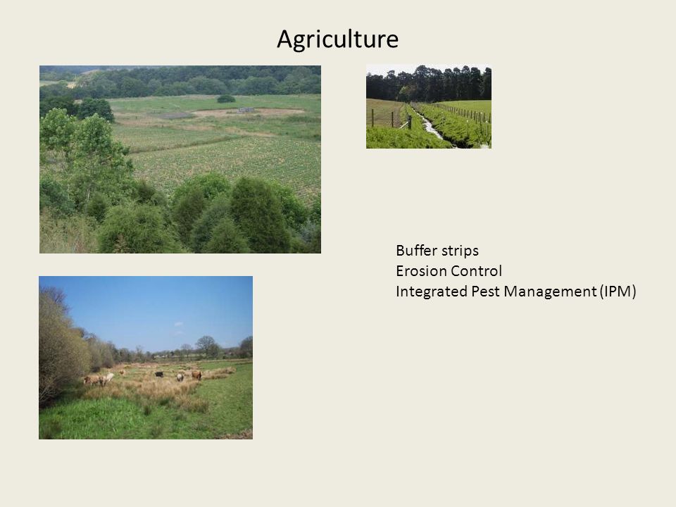 Agriculture Buffer strips Erosion Control