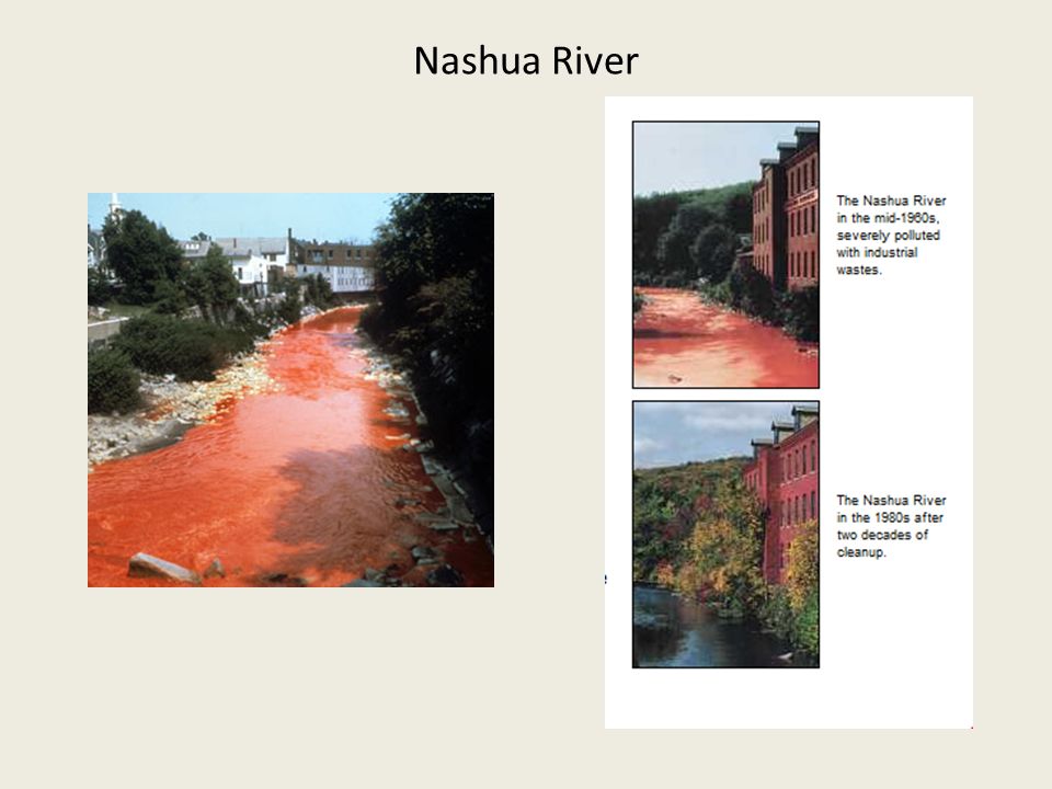 Nashua River