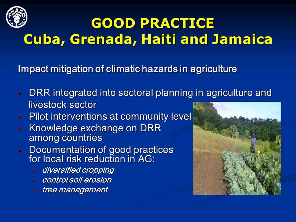 GOOD PRACTICE Cuba, Grenada, Haiti and Jamaica