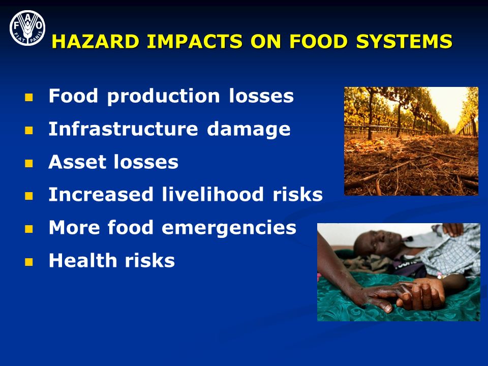 HAZARD IMPACTS ON FOOD SYSTEMS