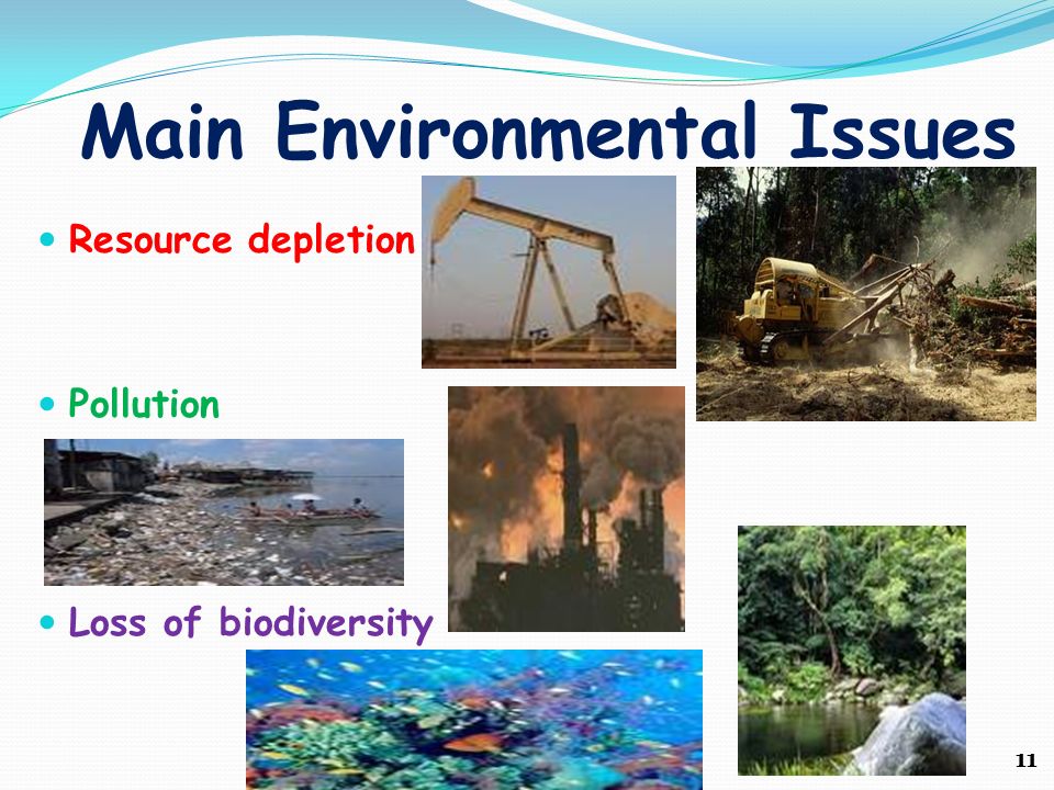 Main Environmental Issues