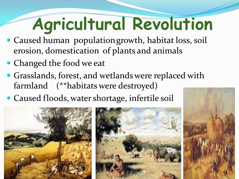 Agricultural Revolution