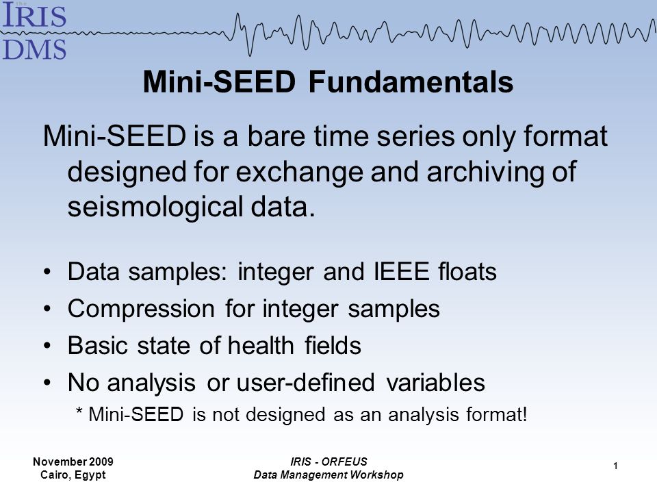 Mini Seed Fundamentals Ppt Download Mini Seed Fundamentals Ppt Download