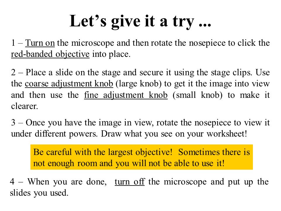 Microscope Basics T Trimpe Ppt Video Online Download