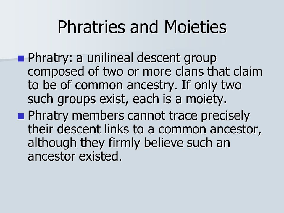phratry anthropology definition