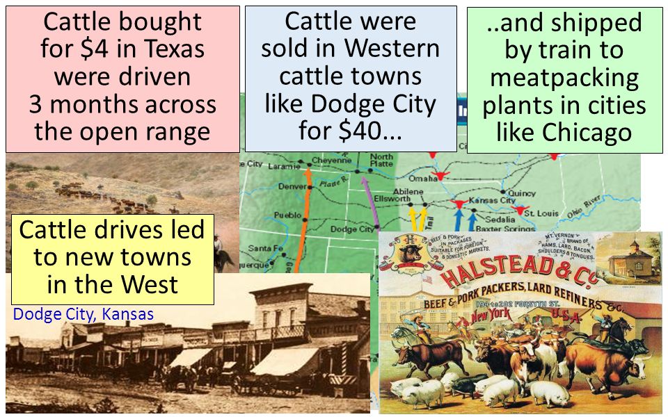 Cattle were sold in Western cattle towns like Dodge City for $40...