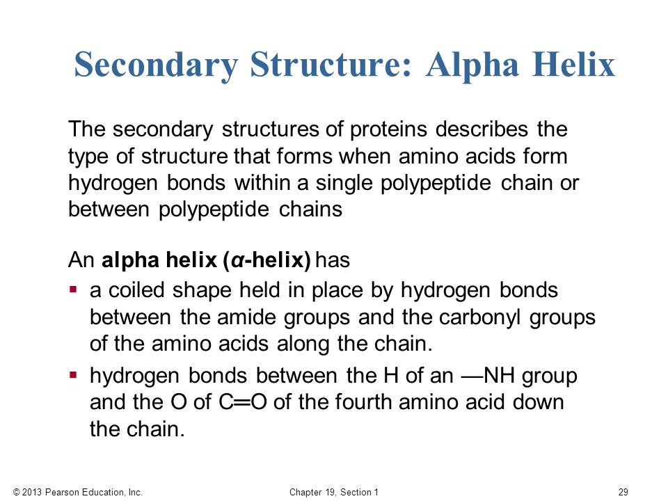 secondary structure of protein ppt