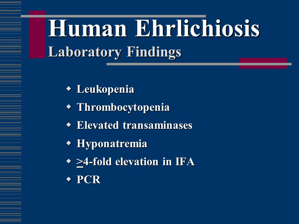 Human Ehrlichiosis Laboratory Findings